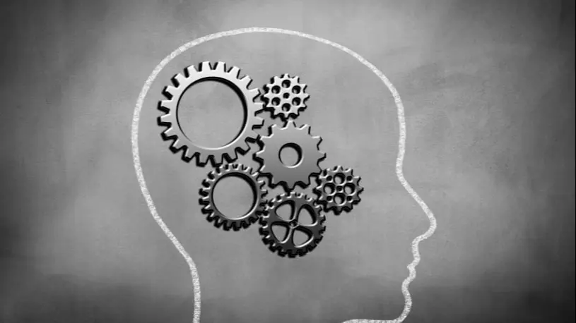 The Science Behind Neuro Energizer